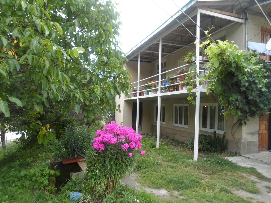 Guesthouse Am Museum Mestia Ngoại thất bức ảnh