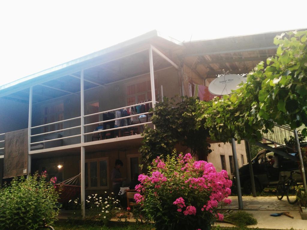 Guesthouse Am Museum Mestia Ngoại thất bức ảnh